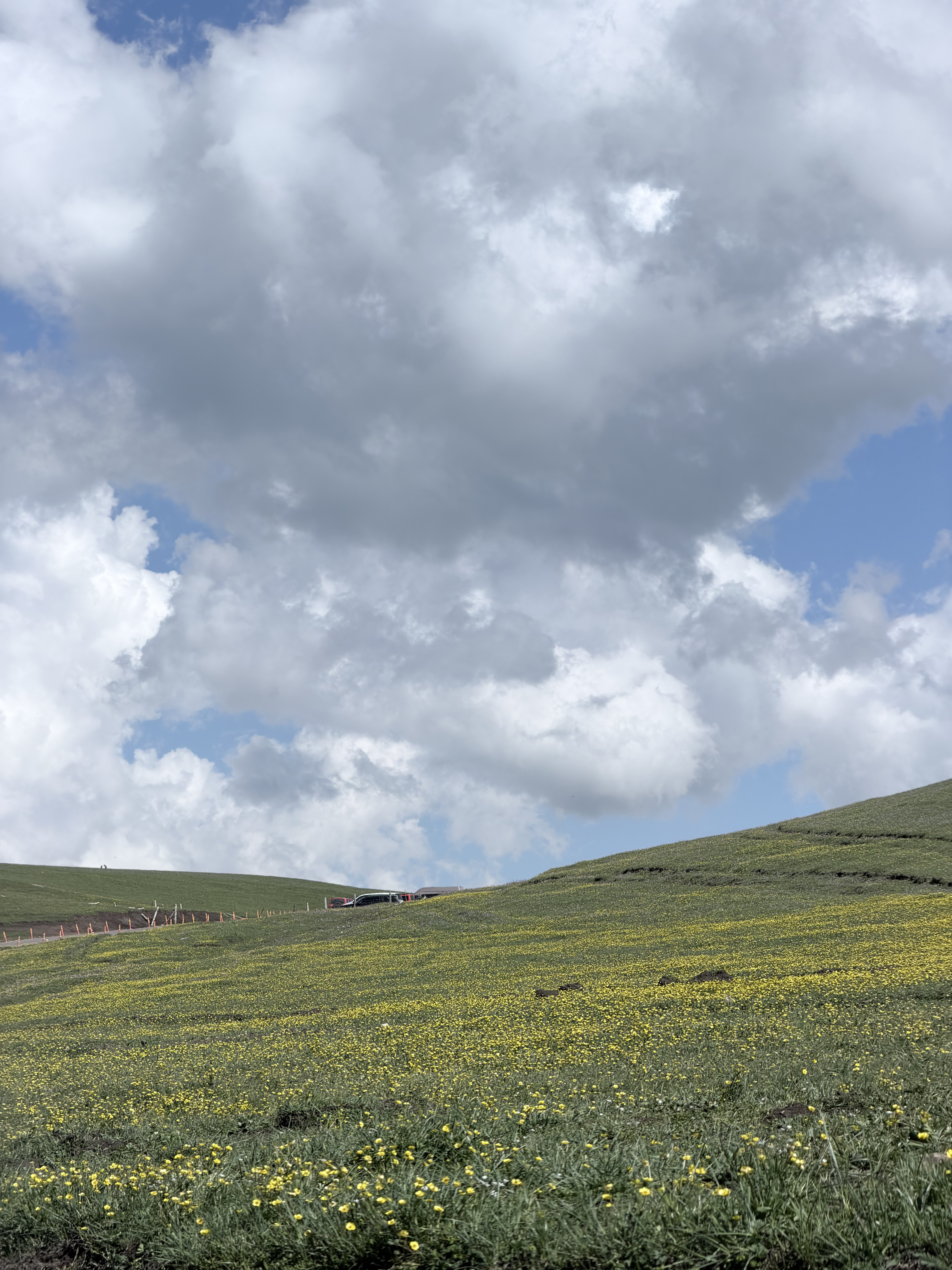Kalajun Grassland