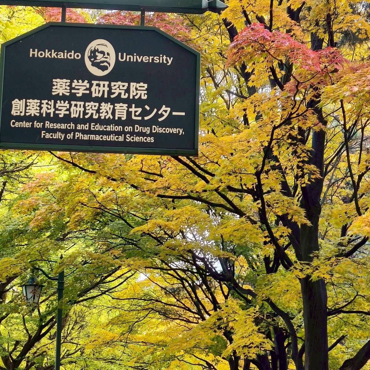 Hokkaido University มหาวิทยาลัยฮอกไกโด