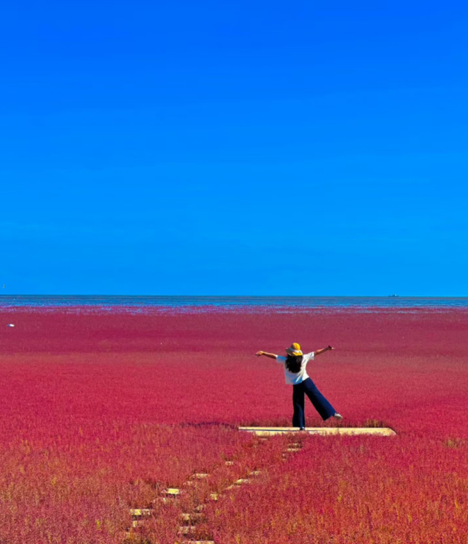 หญ้าแดงผานจิ่น หาดแดงเหลียวหนิง | Panjin Red Beach เที่ยวจีน Autumn