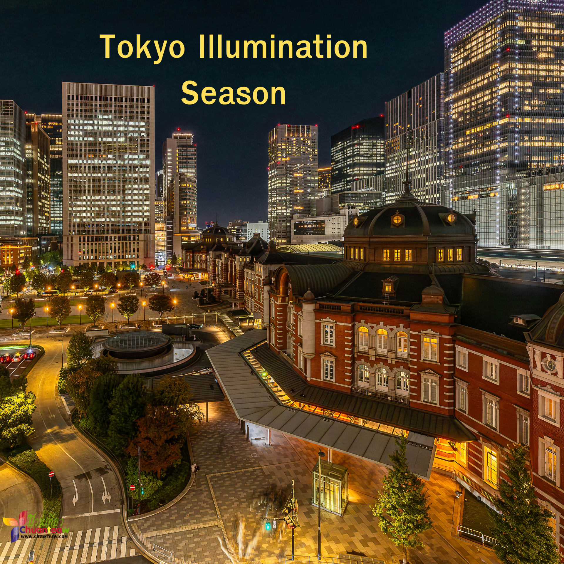 โตเกียว (Tokyo Illumination Season)