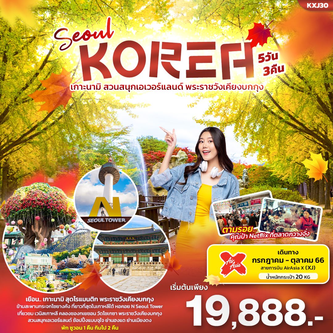 ทัวร์เกาหลี Seoul KOREA เกาะนามิ สวนสนุกเอเวอร์แลนด์ พระราชวังเคียงบกกุง 5วัน 3คืน