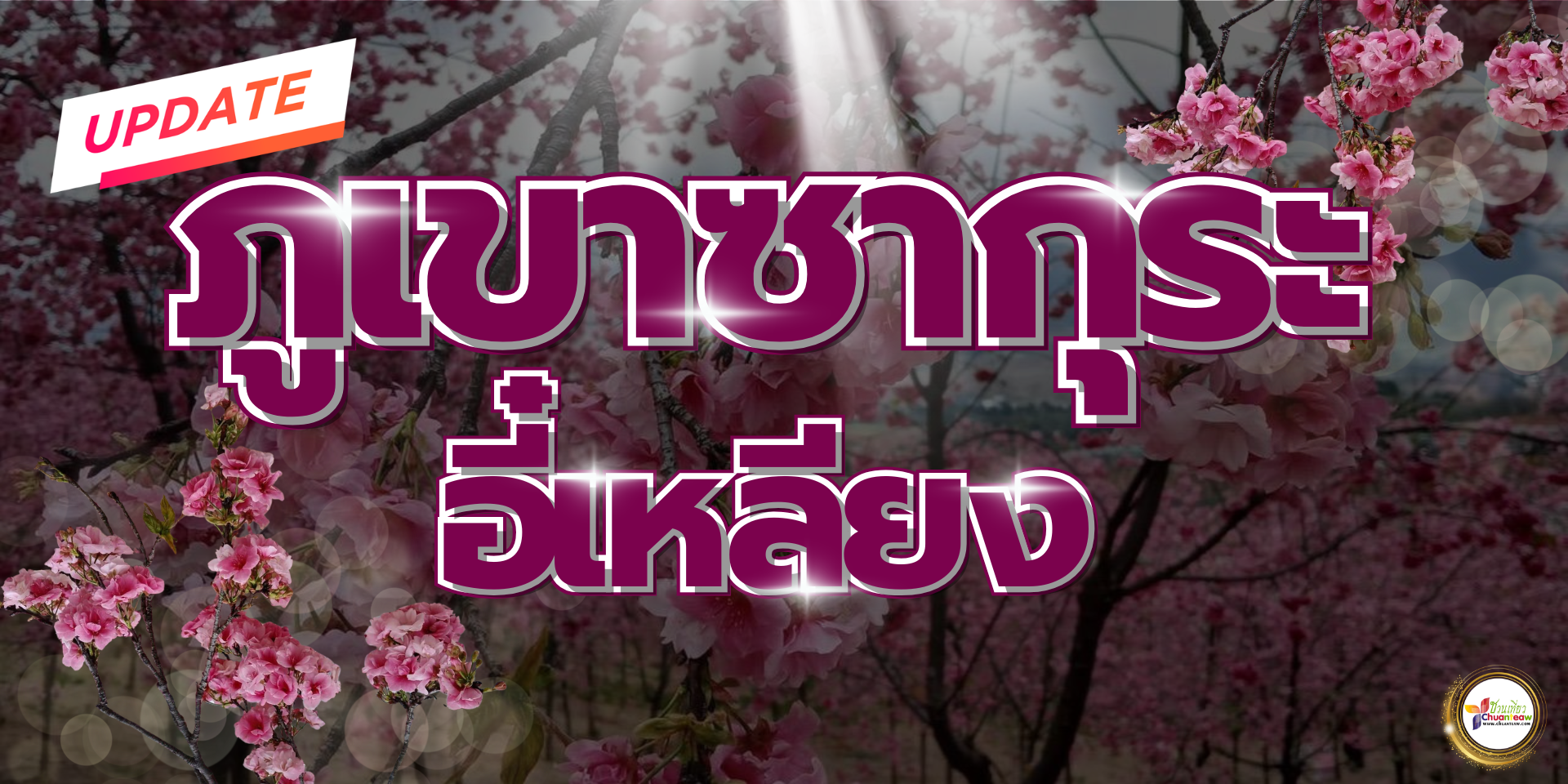 อัพเดท ภูเขาซากุระ อี๋เหลียง