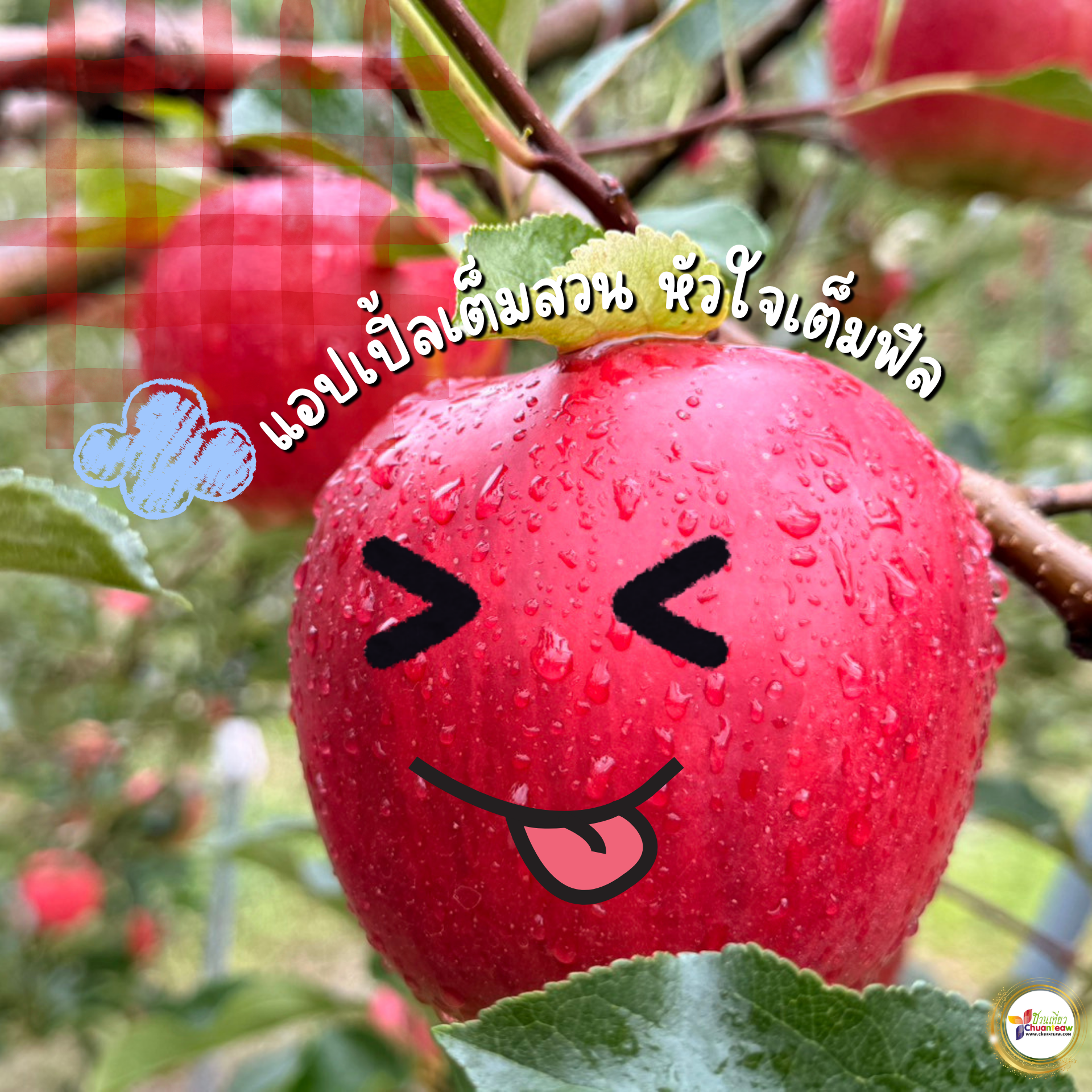 สวนแอปเปิ้ลนากาโน่ เที่ยวญี่ปุ่น Autumn เก็บแอปเปิ้ล | ชวนเที่ยวดอทคอม