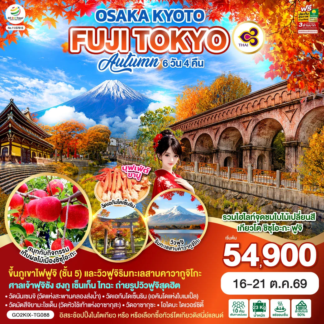 ทัวร์ญี่ปุ่น OSAKA KYOTO FUJI TOKYO  AUTUMN FRUIT PARK 6วัน 4คืน (TG)